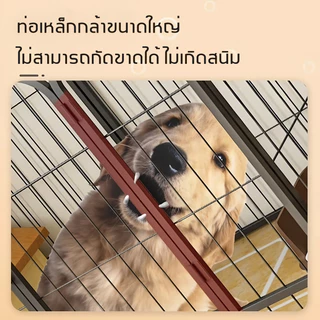 กรงสุนัข กรงหมา คอกสุนัข คอกกระต่าย กรงสุนัขแบบปรับได้ ติดตั้งง่าย แข็งแรง ทนทาน มีให้เลือกหลากหลายสไตล์ สินค้ามีจำหน่าย