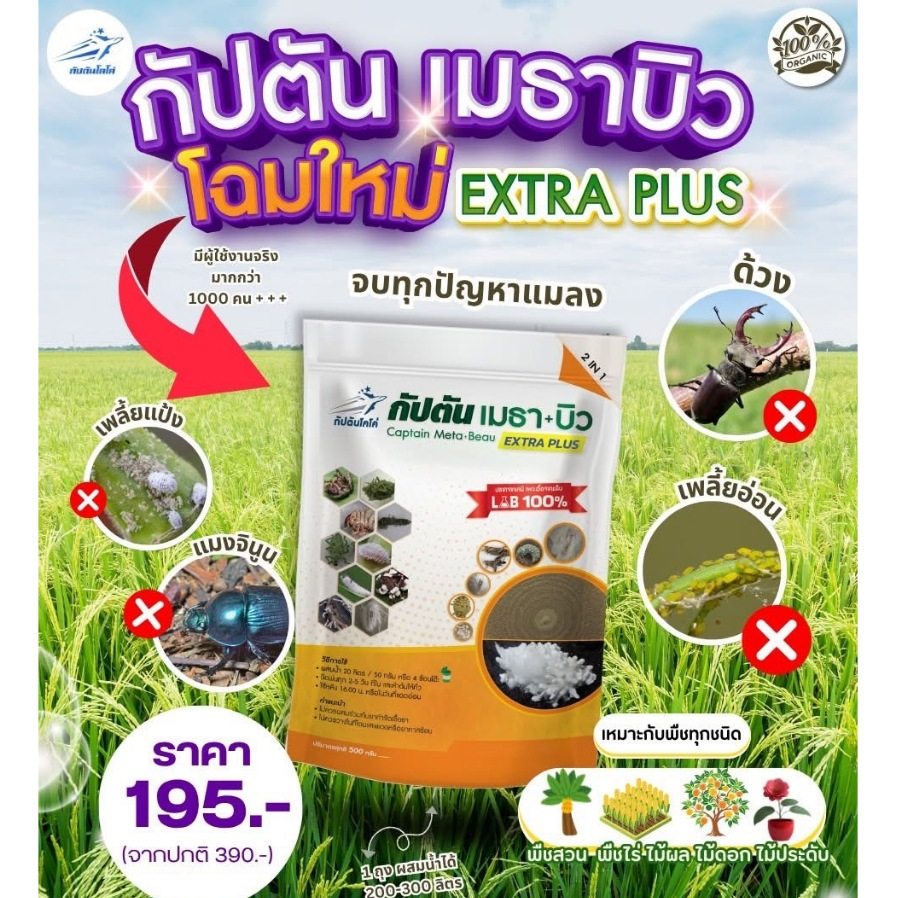 กำจัดแมลง ศัตรูพืช 1 ซอง (500 กรัม) บิวเวอร์เรีย + เมธาไรเซียม กัปตัน เมธา+บิว ปลอดภัย 100%