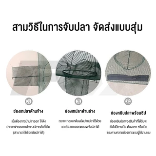 FW ตาข่ายดักปลา ตาข่ายดักกุ้ง มุ้งดักปลา 4/6/8/10ช่อง ที่ดักกุ้ง ที่ดักปลา กระชังปลา รูด้านล่าง ดักจับกุ้งปลาพับเก็บได้