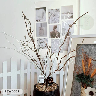 ซาลิค 4 กิ่ง ต้นสูง 64-70 cm. ต้นไม้ประดิษฐ์ พร้อมส่งจากไทย ส่งของทุกวัน