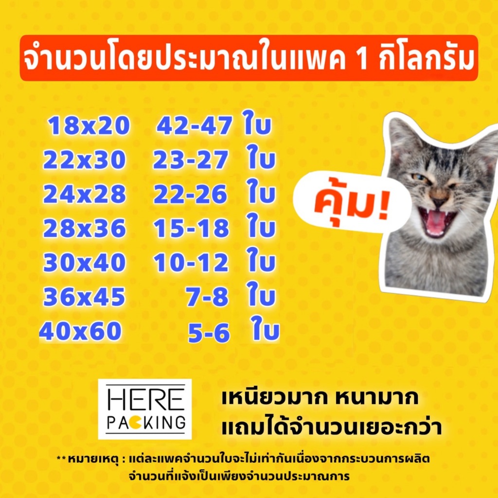 รูปภาพ 3