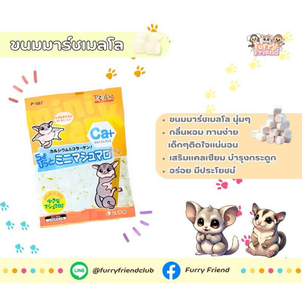 Piccolina มาร์ชแมลโล่สำหรับชูการ์ไกลเดอร์ บุชเบบี้ มาโมเสทฯลฯ