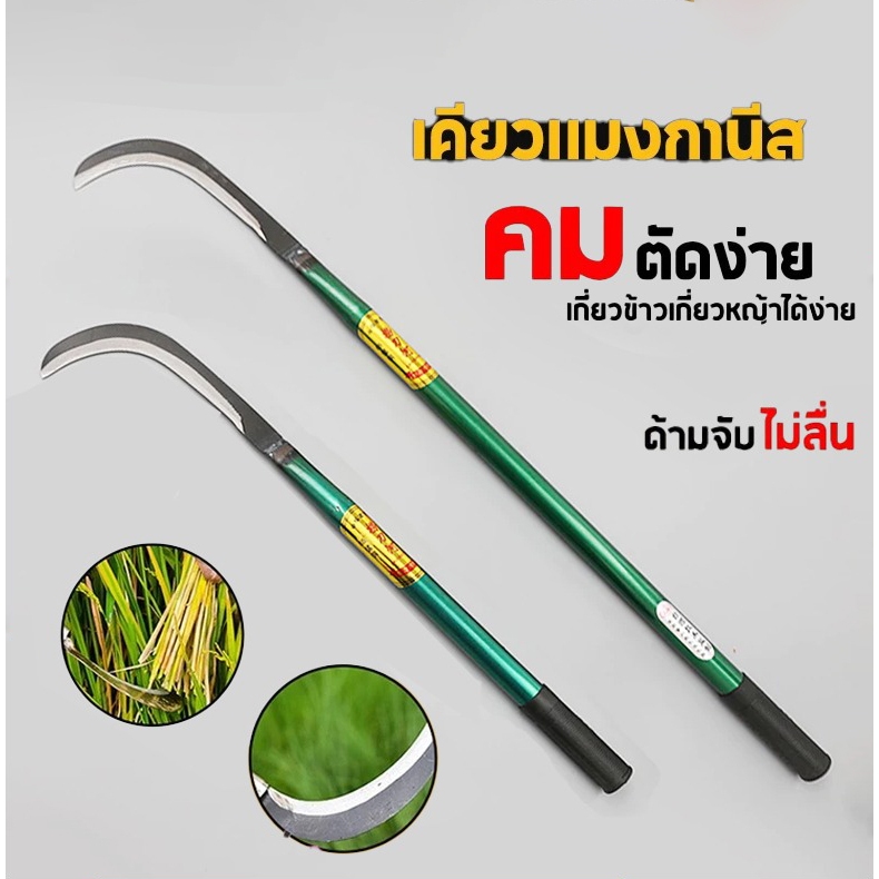 เคียวเกี่ยวหญ้า ด้ามยาว 40/60ซม ใบมีดชุบแข็ง คมมาก ไม่เป็นสนิม ด้ามยางกันลื่น ส่งจากไทย 2–3 วัน