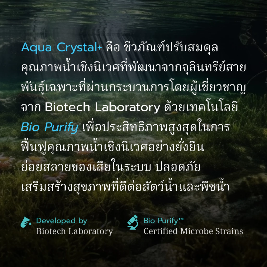 AquaCrystal ชีวภัณฑ์รักษาสมดุลคุณภาพน้ำ thumbnail 3