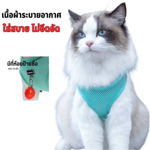 เสื้อสายจูงสัตว์เลี้ยง เสื้อรัดอก ใส่สบาย เนื้อผ้าระบายอากาศ พกพาได้ พร้อมจัดส่งทุกสี - รูปที่ 5