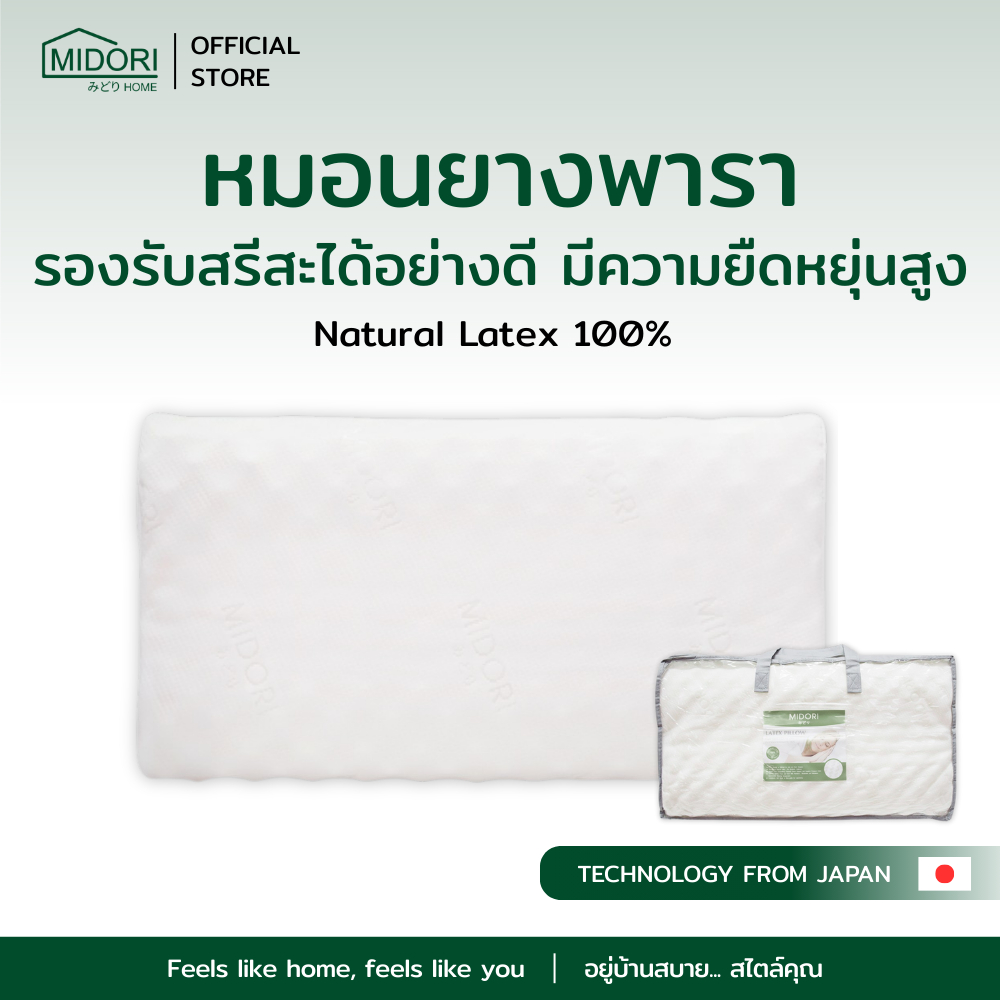 MIDORI Home หมอนยางพารา Latex Pillow