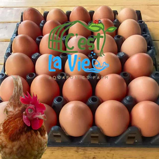 ไข่ไก่ปล่อยอิสระ Free Range Eggs ปลอดสาร สดใหม่จากฟาร์ม อร่อยไข่แดงมันนัว(30ฟอง/30eggs)ไซส์ M-(L+XL)