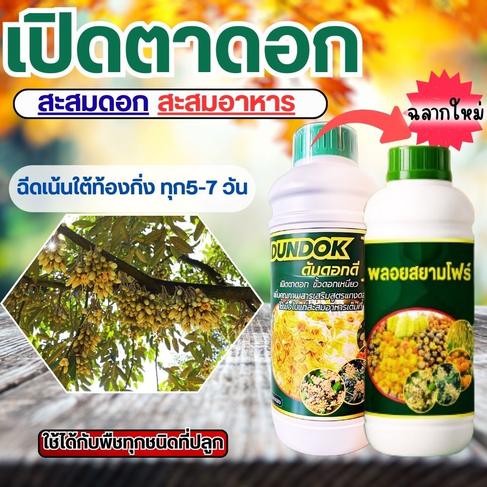 ดันดอกดี สะสมอาหารสะสมดอก ดอกดก เปิดตาดอก ยืดช่อ ขั้วดอกเหนียว ลดการหลุดร่วง หมดปัญหาดอกออกยาก