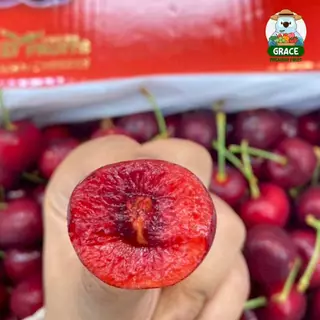 เชอรี่แดง Cherry 🍒 อเมริกา สดก้านเขียว ส่งแช่เย็น