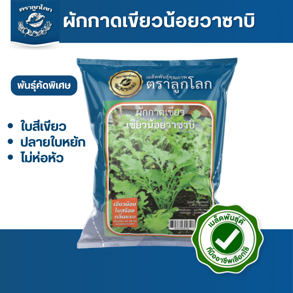 ตราลูกโลก เมล็ดผักกาดเขียวน้อย พันธุ์เขียวน้อยวาซาบิ Mustard เมล็ดพันธุ์ผัก ผักสวนครัว ผักซอง ลูกโลก