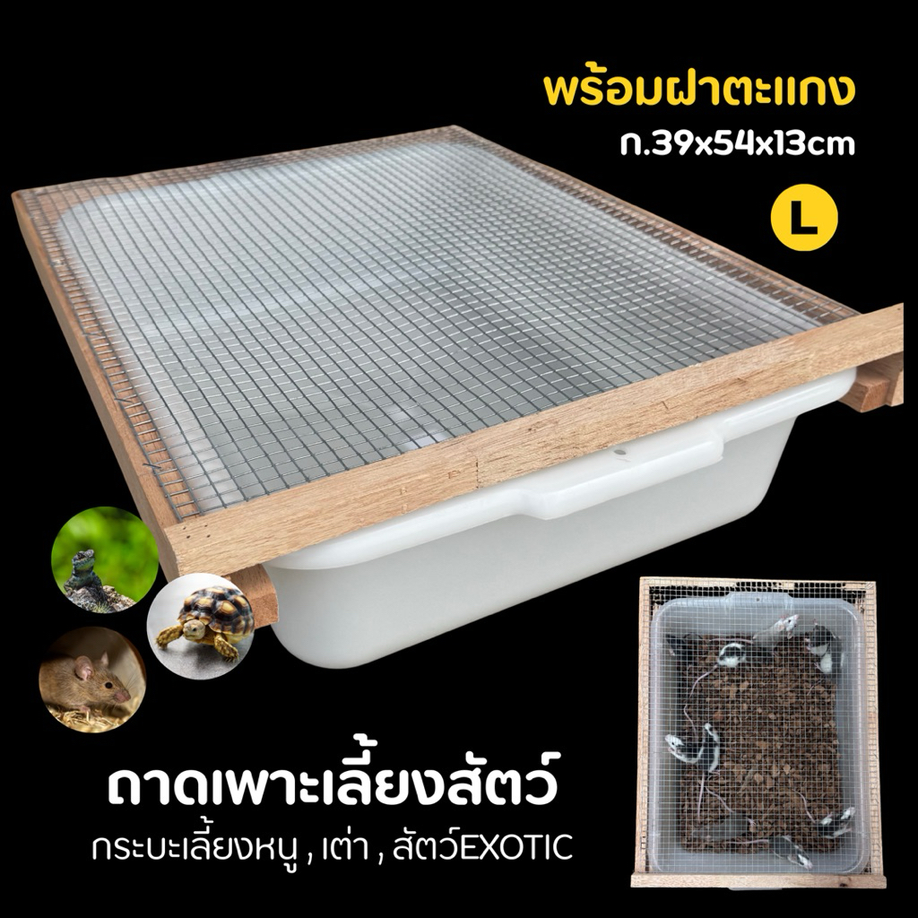 ถาดเพาะเลี้ยงสัตว์ กระบะเลี้ยงหนู เต่า สัตว์ Exotic พร้อมฝาตะแกรงไม้ ฝาปิด Size L(39x54x13cm)