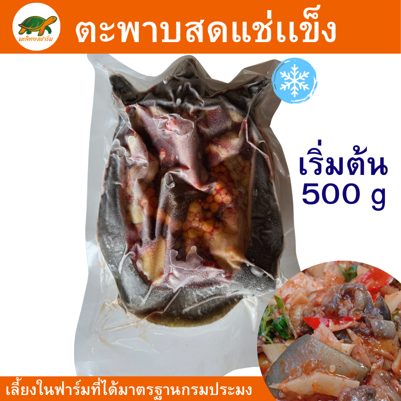 ตะพาบสดแช่แข็ง ตะพาบ 500 กรัม-1.6 กิโลกรัม มะลิทองฟาร์ม เนื้อแน่น สดสะอาด เหมาะสำหรับการทำได้หลายเมนู