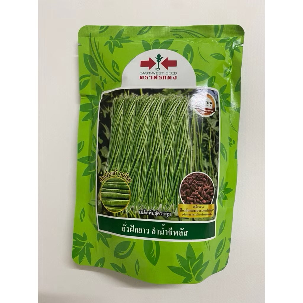 เมล็ดถั่วฝักยาว ลำน้ำชี พลัส (เมล็ดเคลือบ)หมดอายุ 9/69 (PAL 500G TH) ถั่วเนื้อ100% - รูปที่ 3