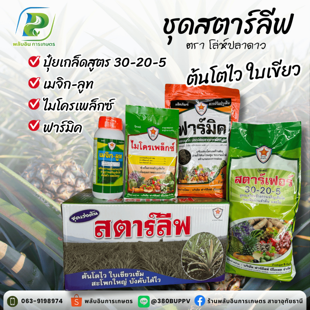 ชุดบำรุงต้นสับปะรด ต้นใหญ่ ใบเขียว ขยายสะโพก ชุดสตาร์ลีฟ ตราโล่ห์ปลาดาว