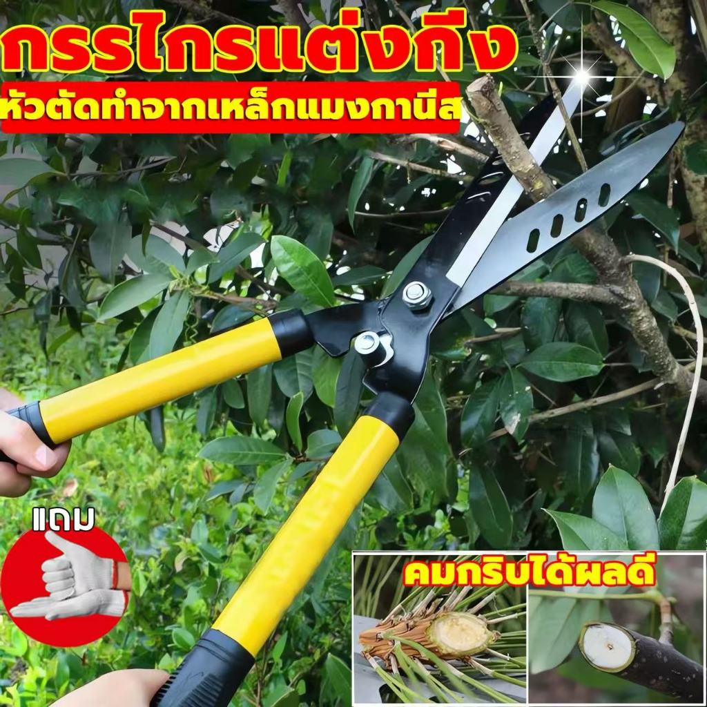 🔥กรรไกรตัดหญ้า กรรไกรตัดแต่งพุ่มไม้ กรรไกรตัดกิ่ง ตัดกิ่งไม้ ตกแต่งสวน🔥