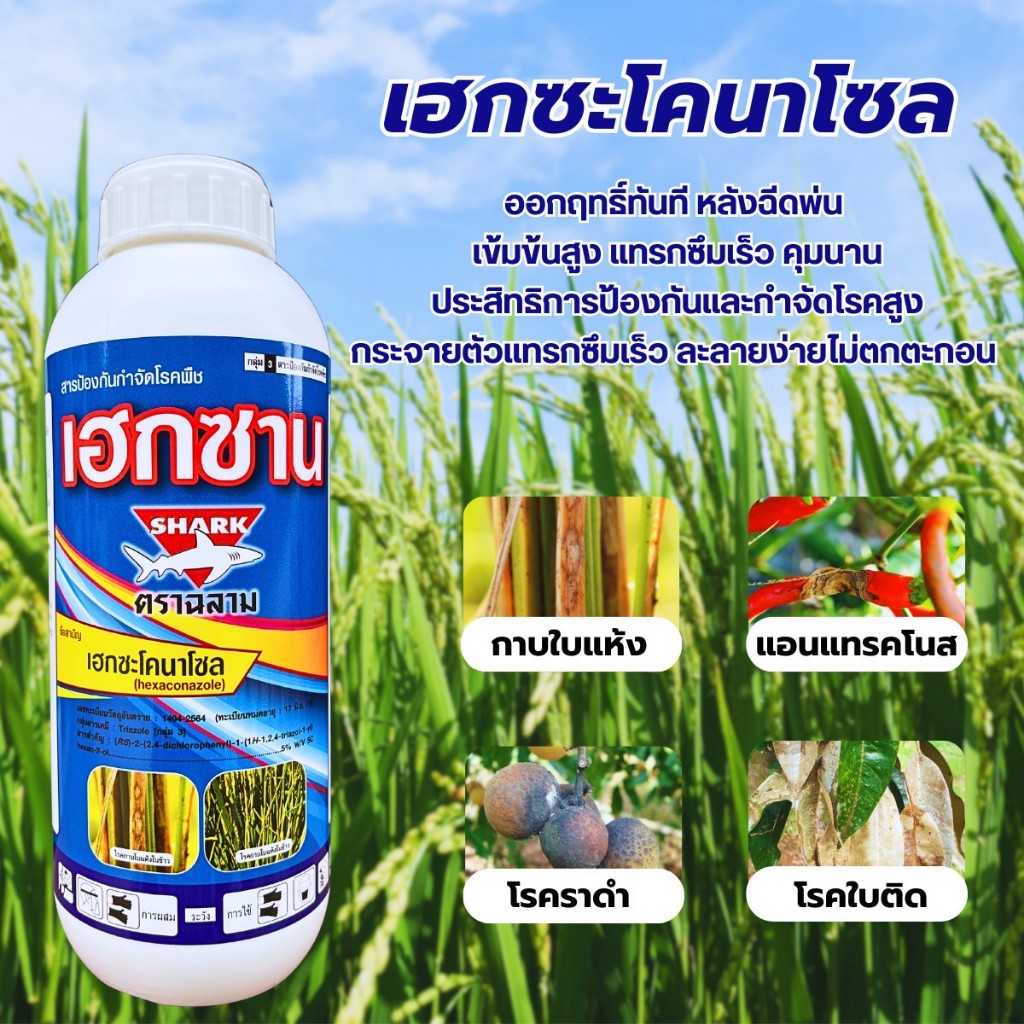 เฮกซาน เฮกซะโคนาโซล (ขนาด 1 ลิตร) ใช้ป้องกันกำจัดโรคพืช ใบไหม้ เมล็ดด่าง ใบจุดในกล้วยไม้ แอนแทรคโนสในทุเรียน
