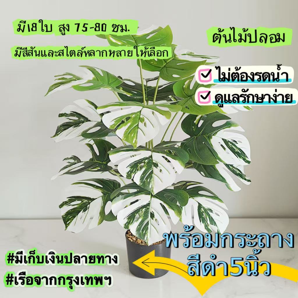 *พร้อมส่ง*  ต้นไม้ปลอม ทุกสีพร้อมกระถางฟรี Monstera18ใบ สูง80cm 12ใบ สูง50cm มอนสเตอร่าด่าง ตกแต่งบ้าน  ส่งที่ไท