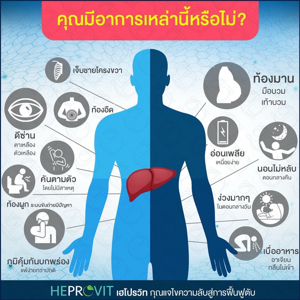 ผลิตภัณฑ์เสริมอาหารเฮโปรวิท (heprovit) บรรจุ 15 แคปซูล