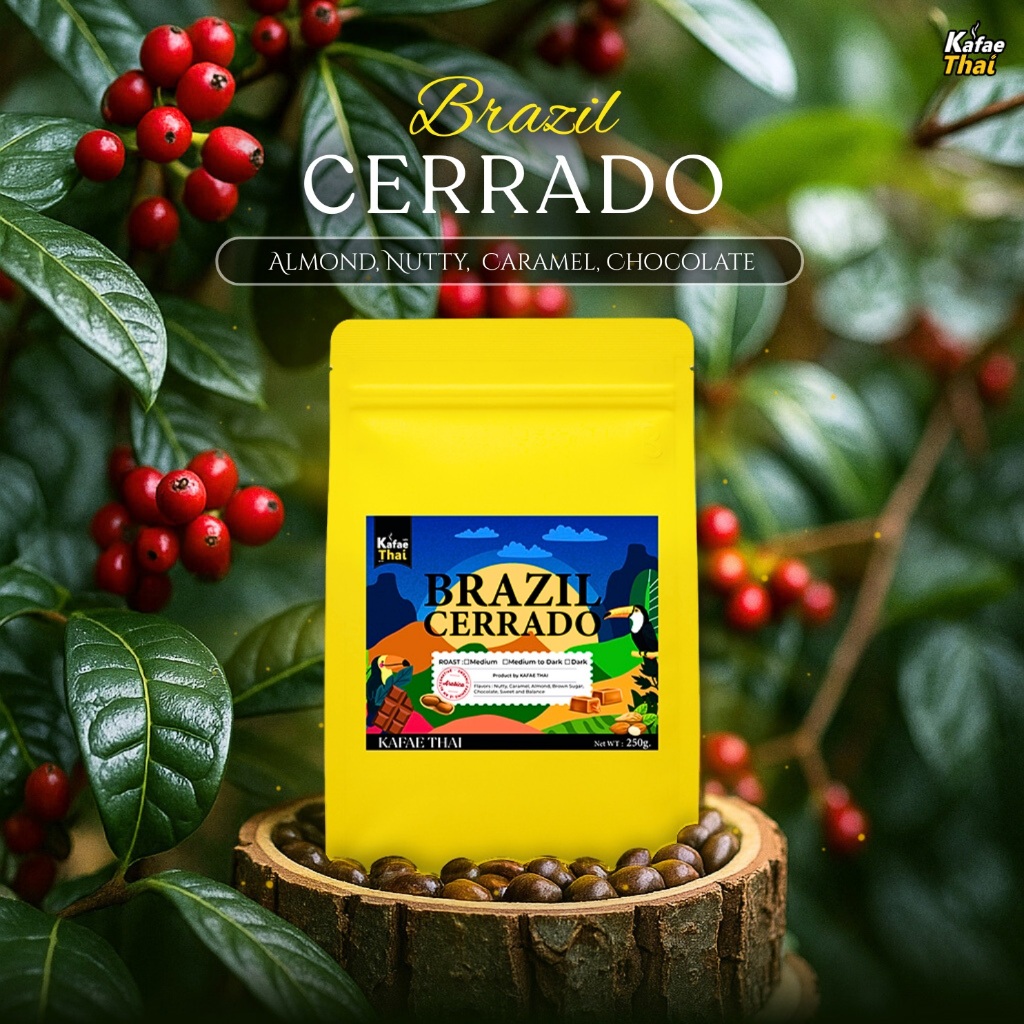 รีวิว เมล็ดกาแฟคั่ว Brazil Cerrado Kafaethai รสนุ่ม หอมช็อกโกแลต ไม่เปรี้ยว