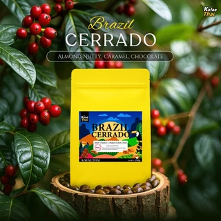 [ส่งฟรี] เมล็ดกาเเฟคั่ว Brazil Cerrado by KafaeThai ขนาด 250 กรัม