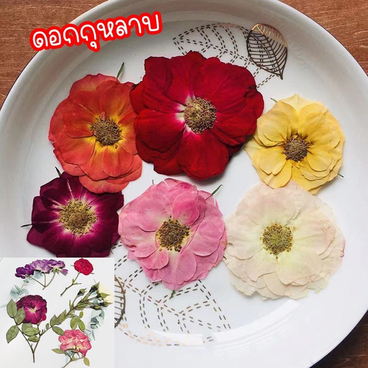 ดอกกุหลาบทับแห้ง มีกิ่ง ดอกไม้จริงทับแห้ง roses แต่งเคสโทรศัพท์เครื่องประดับต่างๆ