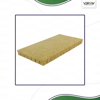 Grodan AO plug Rockwool ร็อควูล โกรแดน ปลั๊ก 98 ชิ้นต่อชีท เพาะปลูก เพาะชำ โคลนนิ่ง โกรแดนชีทใยหิน98