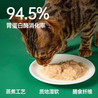 R9 Joypet อาหารแมวสูตรครบถ้วน ขนาด 60g.