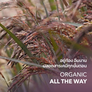 ไร่รื่นรมย์ ข้าวหอมนิลอินทรีย์ 1 (Kg.) Organic Hom Nin Black Rice (pack)