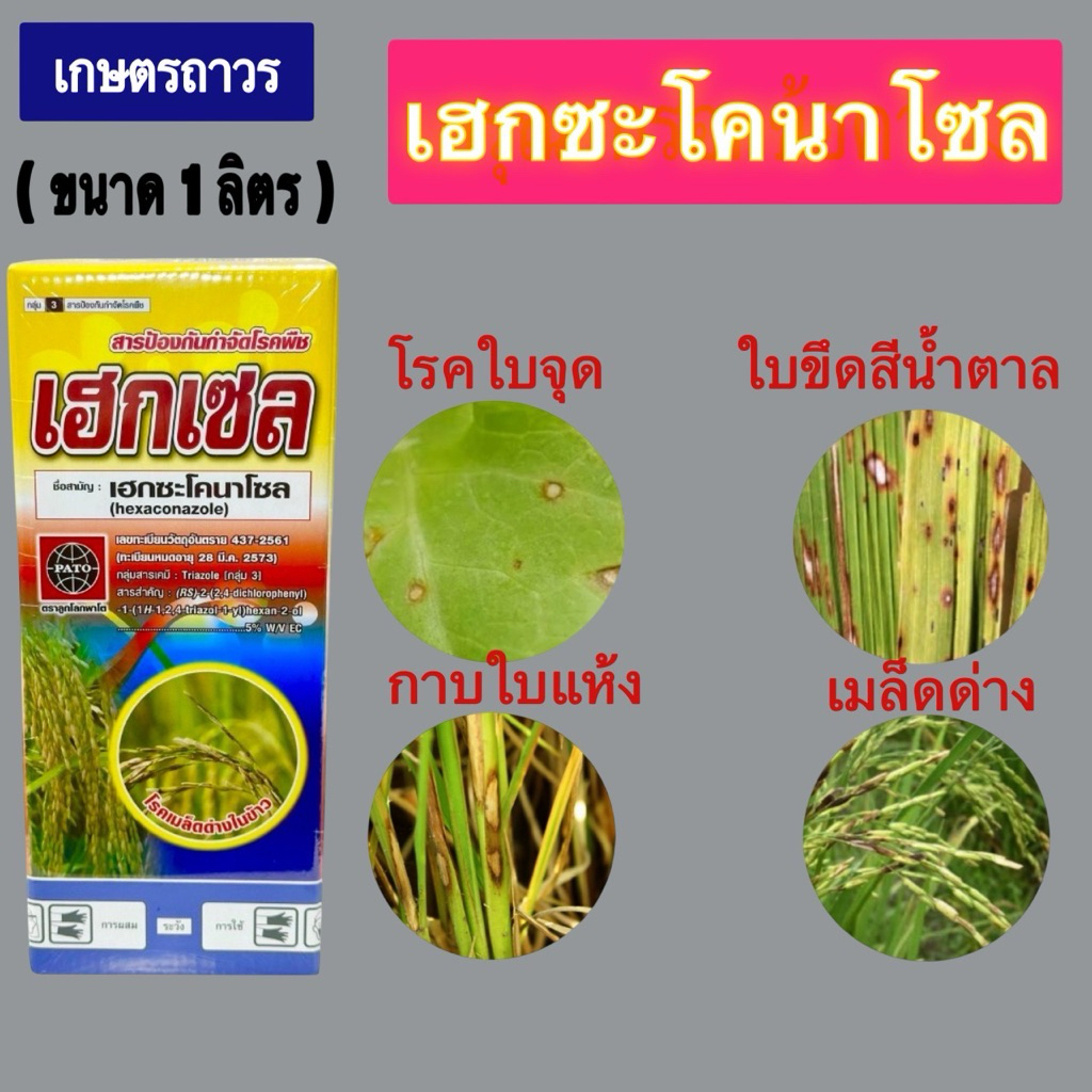 เฮกเซลจาก พาโต้  สารเฮกซะโคนาโซล 1ลิตร เป็นยาเชื้อรากาบใบแห้ง ใบจุด ราดำ ราแป้ง เมล็ดด่าง ช่อดำใช้ในไม้ผล ไม้ดอก และข้าว