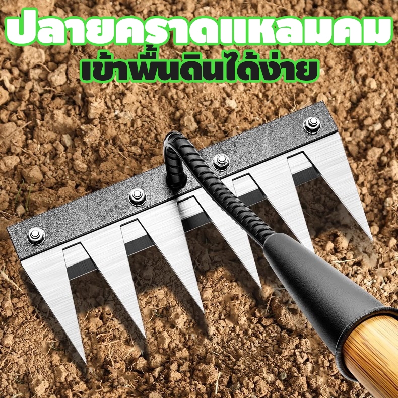 Thumbnail 4