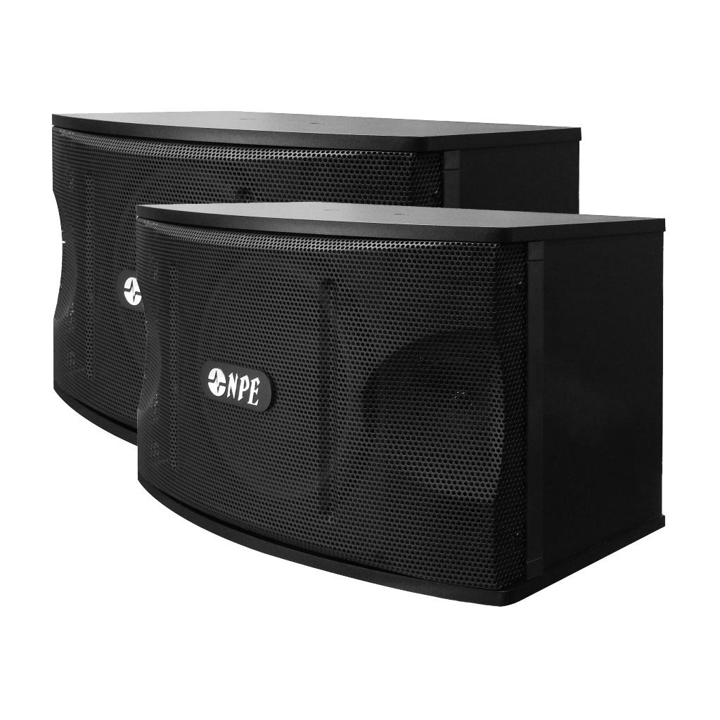 NPE ตู้ลำโพงคาราโอเกะ 10" K-450 (New)