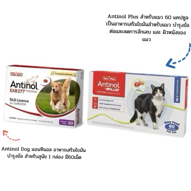 Vetz Petz Antinol Dog&Cat แอนทิศนอล อาหารเสริมไขมัน บำรุงข้อ สำหรับสุนัข เเละ สำหรับเเมว 1 กล่อง มี60เม็ด ของเเท้🔥 01/27