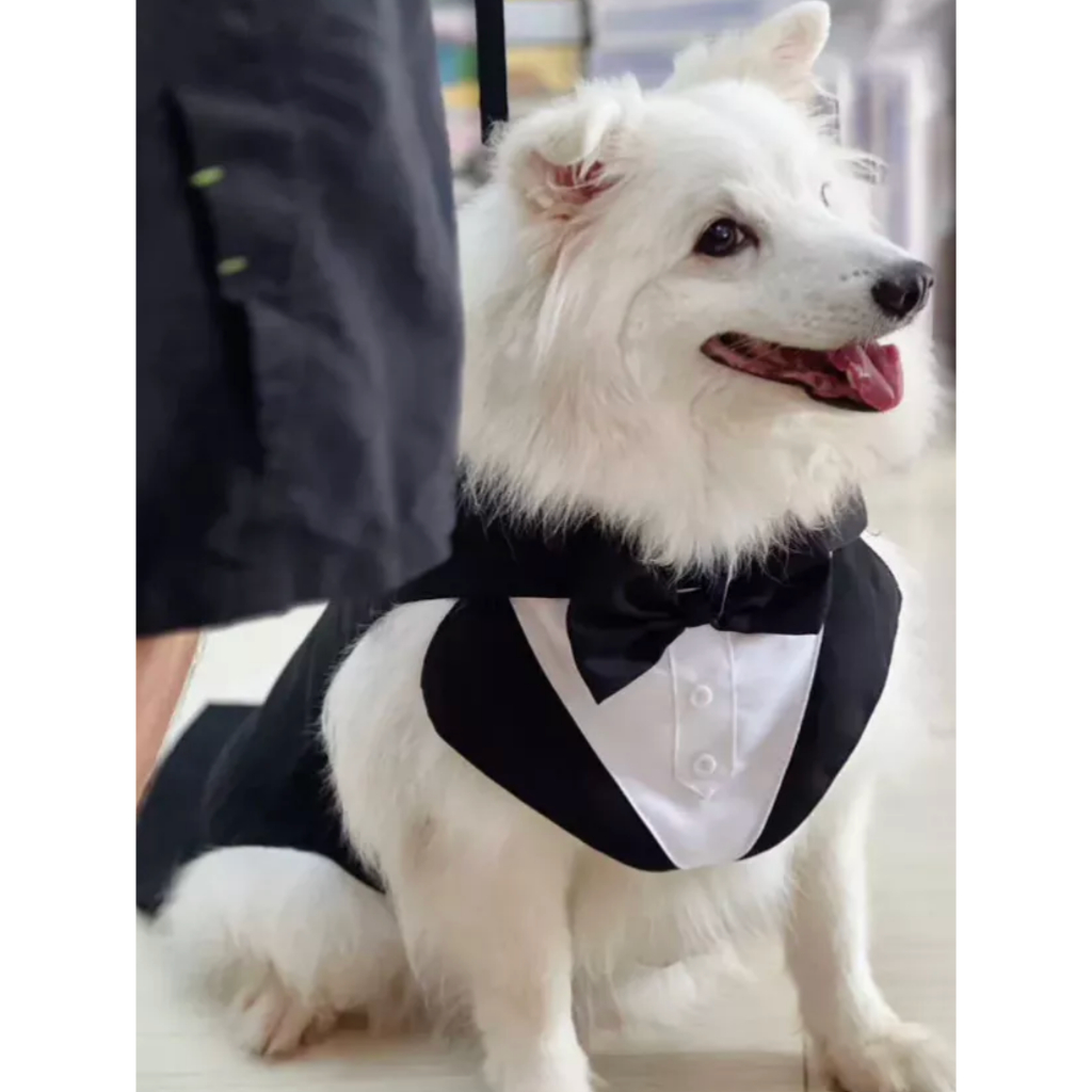 ชุดแต่งงานสุนัข/แมว ชุดราตรีเจ้าสาวหมาใหญ่ | ชุดสูททักซิโด้หมาใหญ่ ชุดเจ้าบ่าว พรีเวดดิ้ง วันเกิด - รูปที่ 7