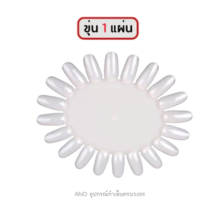 ชาร์ตโชว์สี ทรงว​ง​รี : สำหรับทำตัวอย่างสี ฝึกทาสี ฝึกเพ้นท์เล็บ