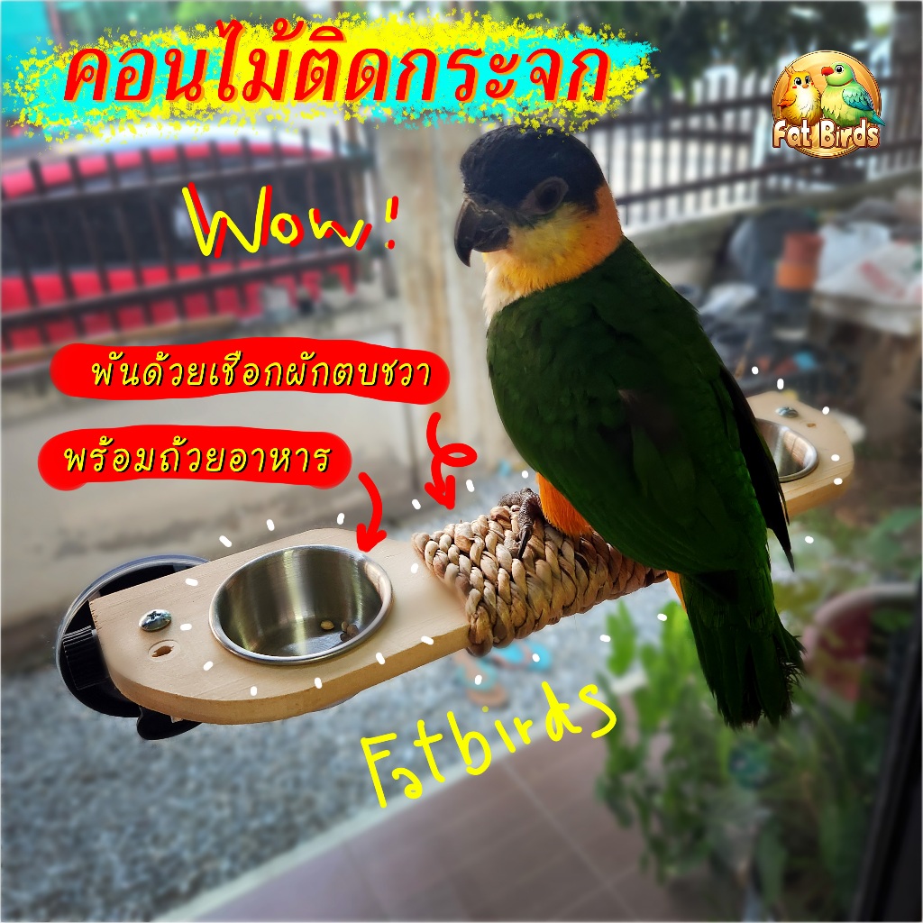 คอนไม้ติดกระจกชมวิว มีถ้วยอาหาร สำหรับนกขนาดเล็กถึงขนาดกลาง ทำจากไม้พันด้วยเชือกผักตบชวา