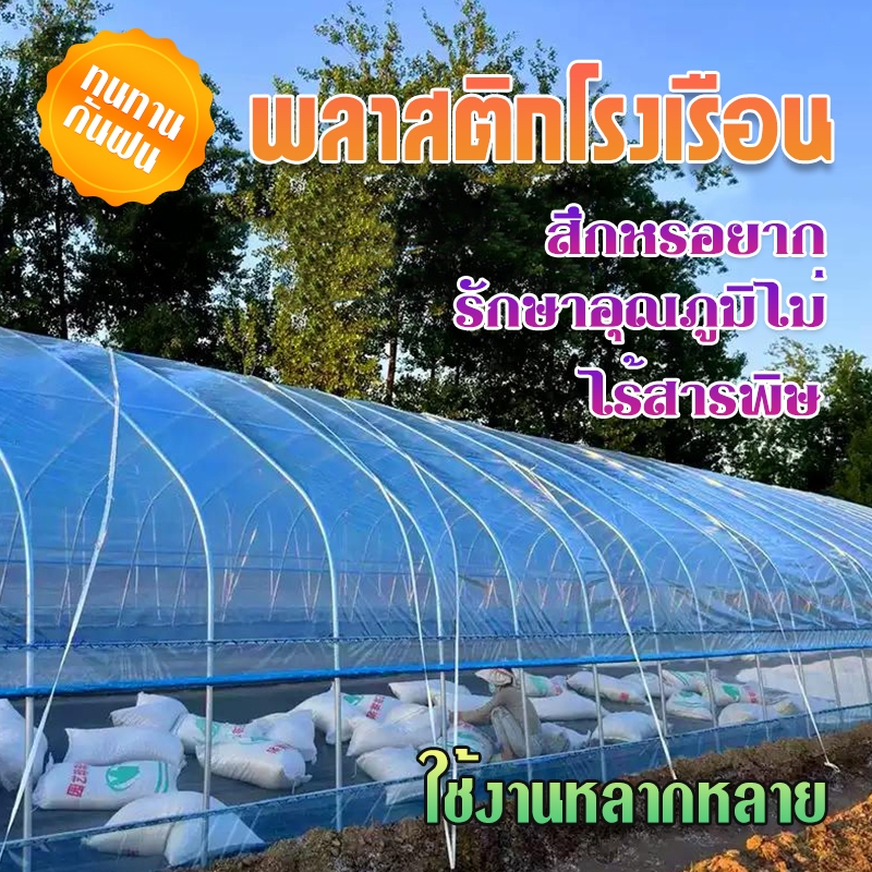 พลาสติกโรงเรือน พลาสติกใส พลาสติกPE หนา 150 ไมครอน โรงเรือน โรงเรือนเพาะชำ พลาสติกคลุมโรงเรือน พลาสต
