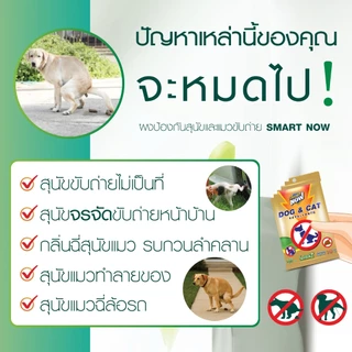 ไล่หมา ผงไล่แมว ไล่สุนัขจร ไม่อันตรายต่อสัตว์ ชนิดผง smart now (มีเก็บปลายทาง จัดส่งไว)