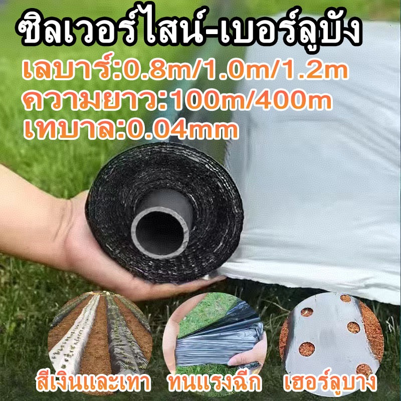 พลาสติกคลุมดิน พลาสติกคลุมแปลง ดำ เงิน ผสมUV กว้าง 80 และ 100/120 cm. x 400 หลา หนา 0.04 มม.