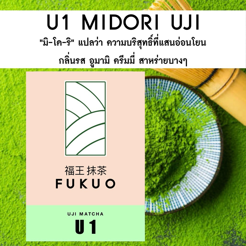 มัทฉะ (Fukuo) U1 MIDORI UJI Matcha มัทฉะญี่ปุ่น เกรดพิธีชงชา Ceremonial grade