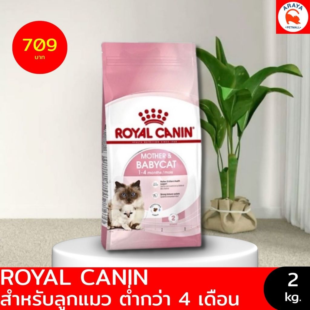 *1.2-2kg.* ROYAL CANIN FHN MOTHER & BABYCAT