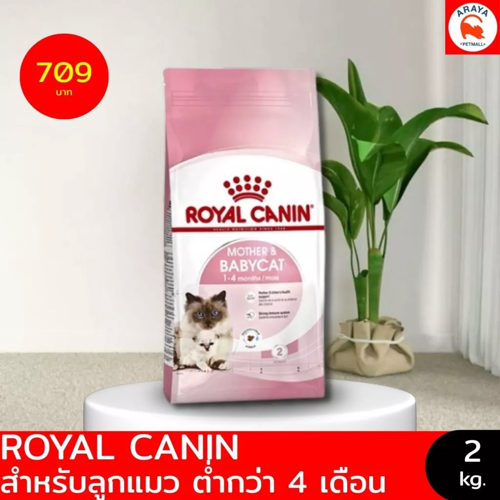 *1.2-2kg.* ROYAL CANIN FHN MOTHER & BABYCAT