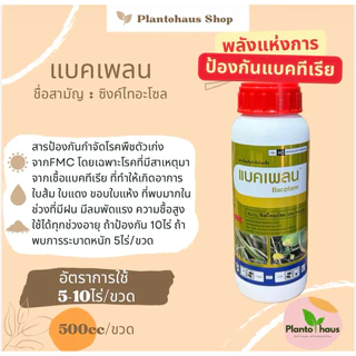แบคเพลน FMC ซิงค์ไทอะโซล ป้องกัน กำจัด แบคทีเรีย ขอบใบแห้ง 500ซีซี