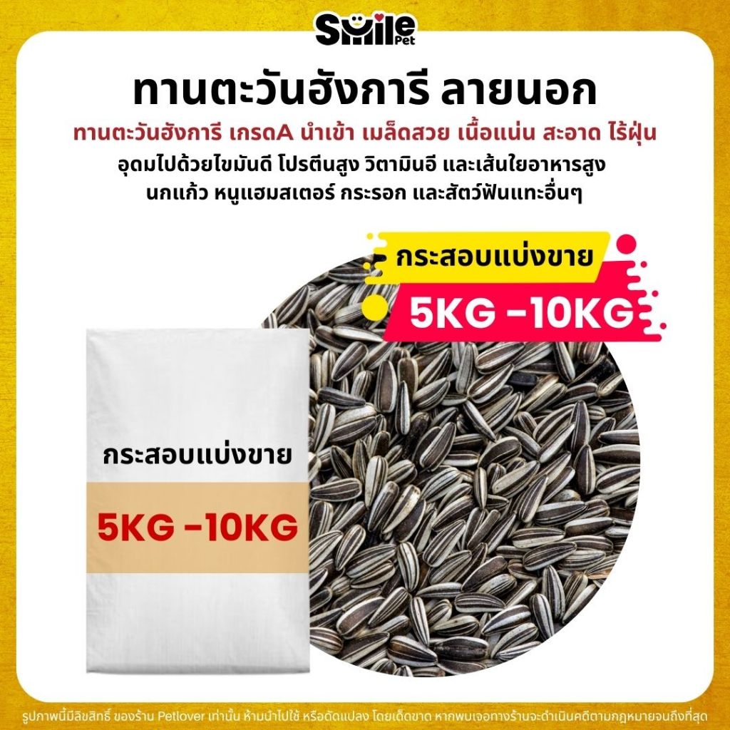 (5KG/10KG) ทานตะวันฮังการี (ลายนอก) เกรดA เม็ดเล็ก อาหารนกแก้ว และสัตว์ฟันแทะ สะอาด ร่อนฝุ่นทุกถุง