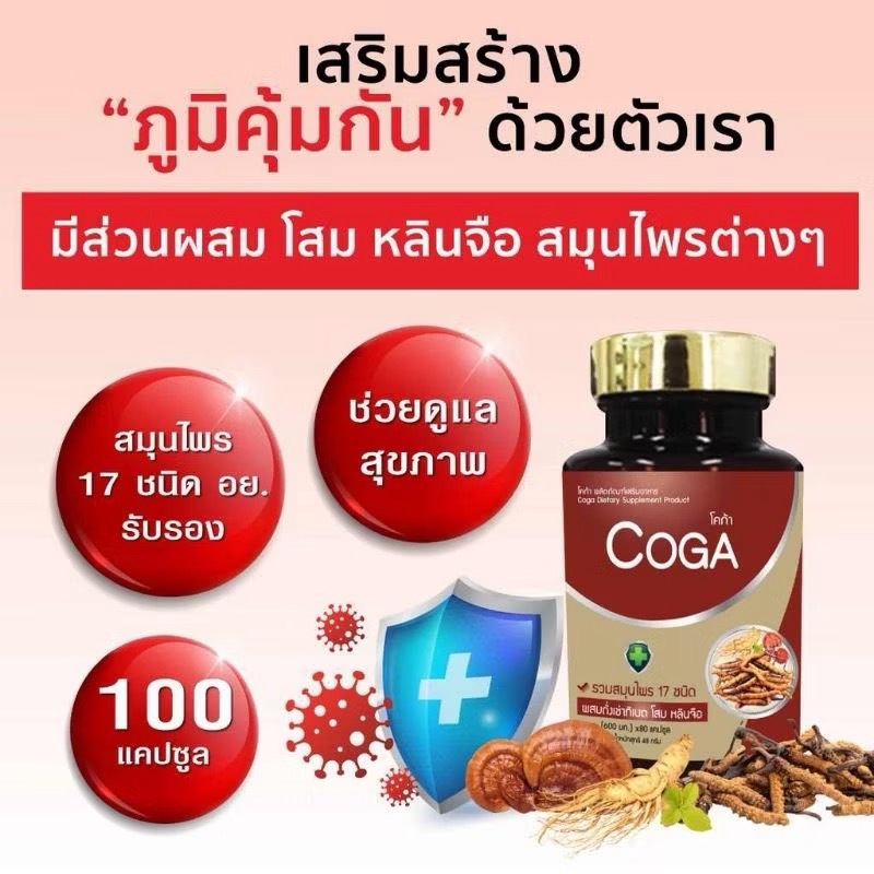 Coga (100เม็ด/กป.) สมุนไพรรวม 17 ชนิด วิตามิน อาหารเสริม