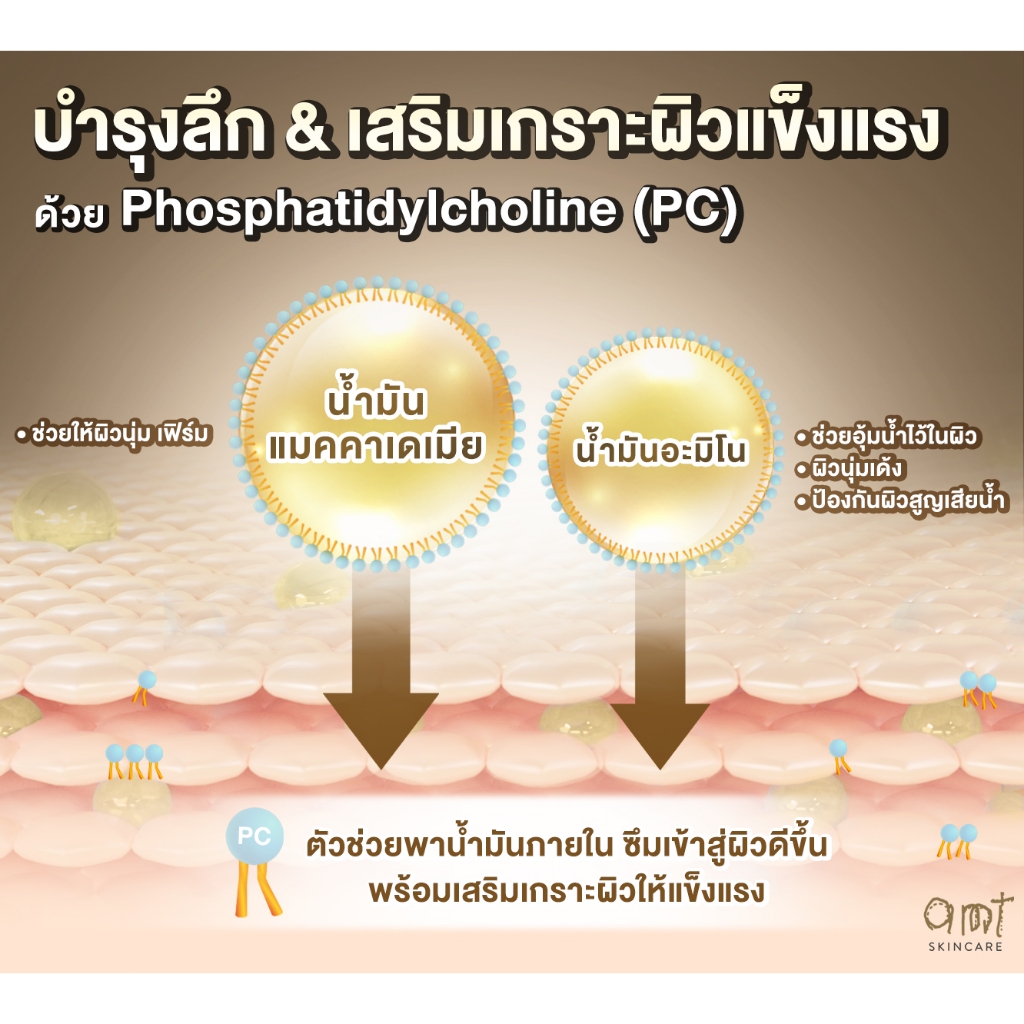 รูปภาพ 4