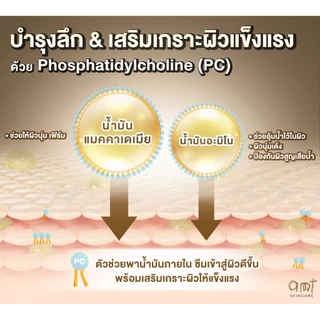 [6 ซอง] AMT Emulsion 7 mL - มอยเจอร์ไรเซอร์เติมความชุ่มชื้น ผิวโกลว์ นุ่ม เฟิร์ม กระจ่างใส (เลือกสูตรตามสภาพผิว)