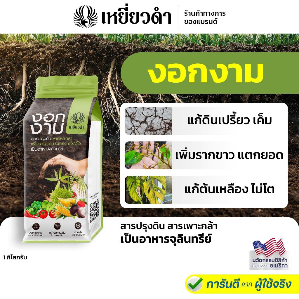 [เซ็ทเล็กคุ้มพอดี] งอกงาม 1 กก. สารเร่งราก ฟื้นต้นไม่โต แตกยอดไว เหมาะกับต้นไม้ทุกชนิด ตราเหยี่ยวดำ