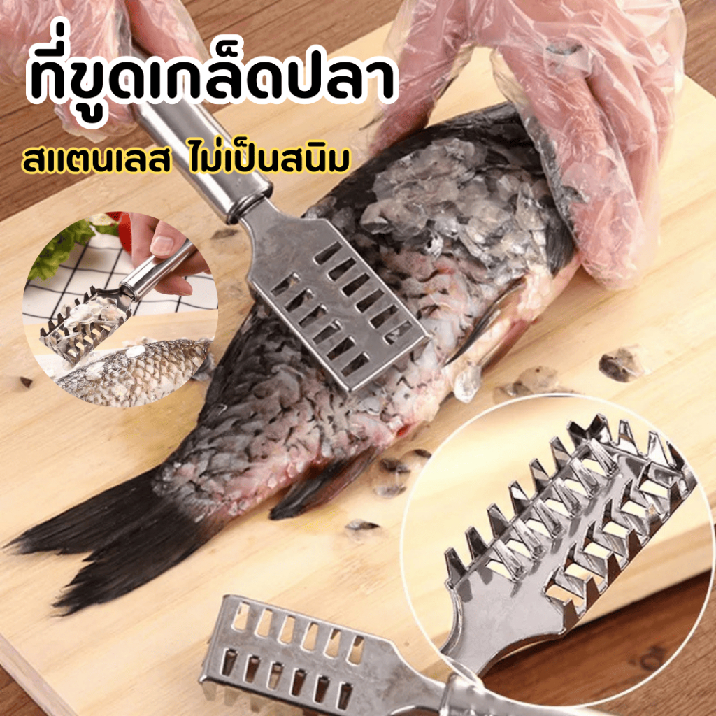 ที่ขูดเกล็ดปลา ที่ขอดเกล็ดปลา สแตนเลส  ไม่เกิดสนิม พร้อมส่งจากไทย