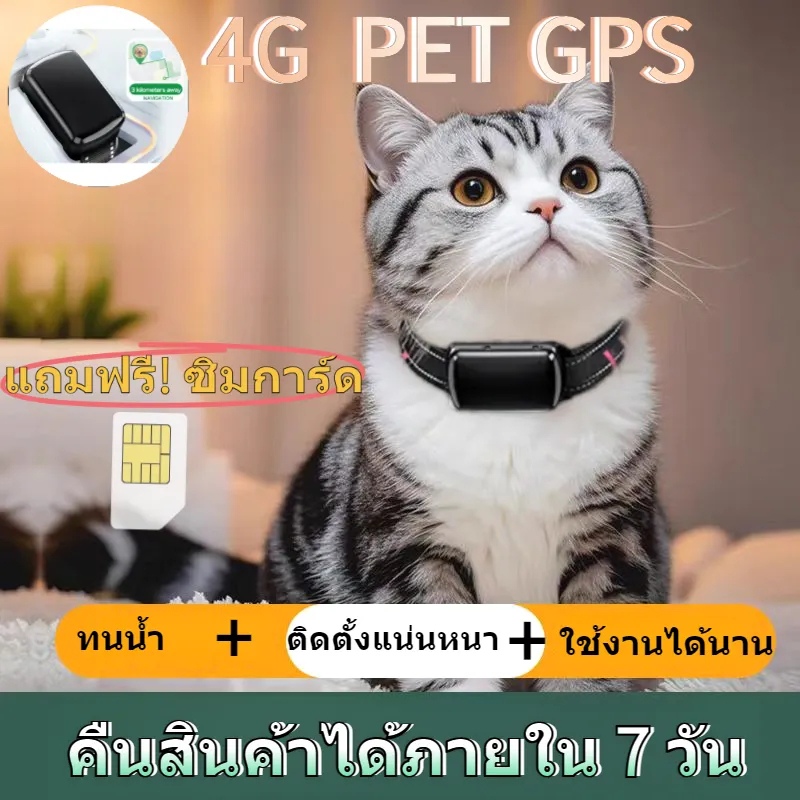 4G GPS ปลอกคอ เครื่องติดตาม สัตว์เลี้ยง gpe pet tracker อุปกรณ์ติดตามสุนัขแมวลูกสุนัขปลอกคอสุนัข Gps กันน้ำปรับได้ป้องกั
