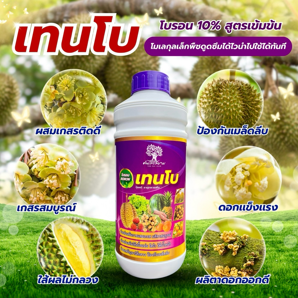 เทนโบ โบรอนสูตรเข้มข้น 10% ขนาด 1ลิตร ดอกสมบูรณ์ ผสมเกสรติดดี เกสรเเข็งเเรง ลดการหลุดร่วง ป้องกันเมล็ดลีบ ไส้ผลไม่กลวง